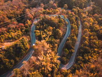 High angle view of road amidst trees during autumn