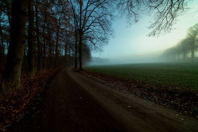 View of dirt road along trees