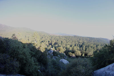 Scenic view of landscape against clear sky