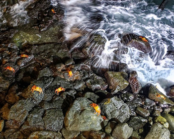 High angle view of waterfall in sea