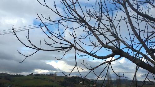 Bare tree on landscape against sky