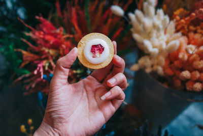 Close-up of hand holding piec of biscuit