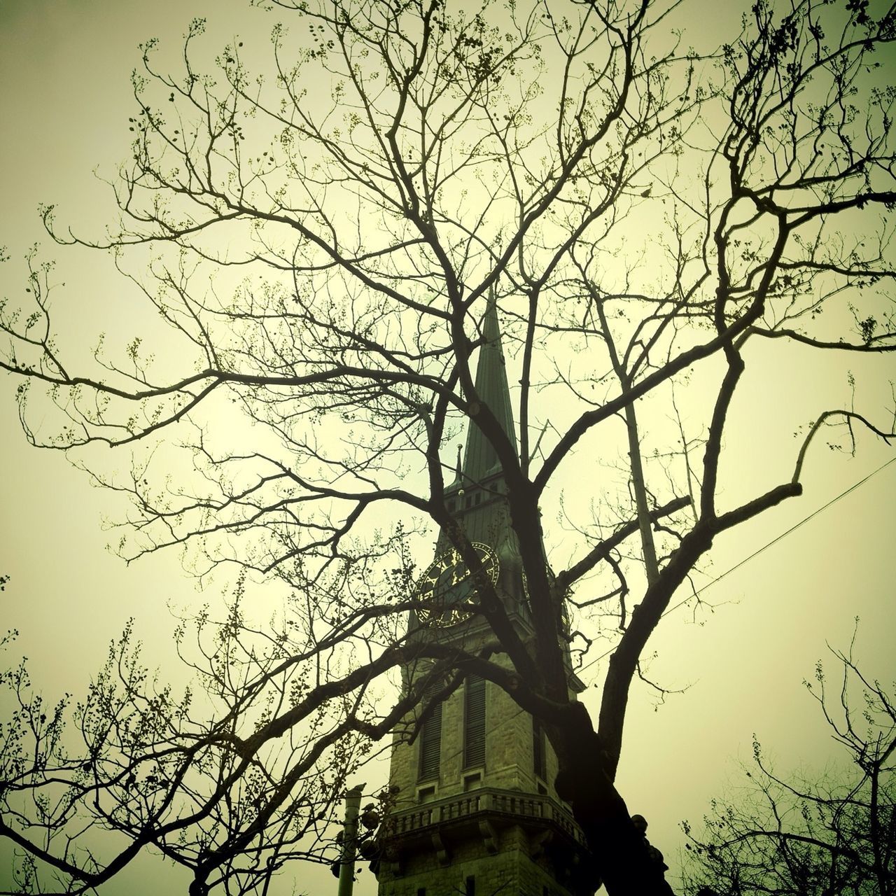 bare tree, tree, low angle view, branch, architecture, built structure, building exterior, sky, religion, place of worship, clear sky, spirituality, church, outdoors, history, silhouette, no people, nature