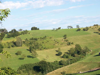 Scenic view of landscape against sky