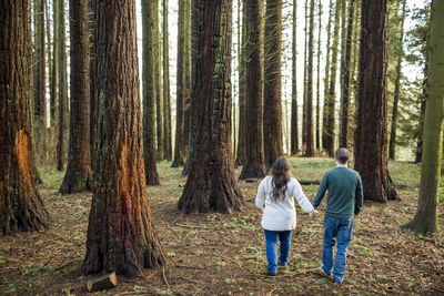 Rear view of heterosexual couple walking through forest holding hands