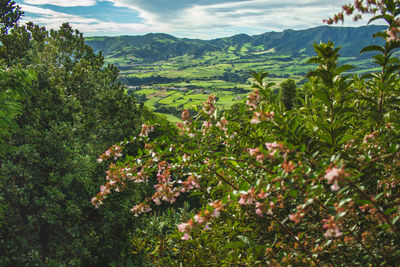 Scenic view of landscape against sky