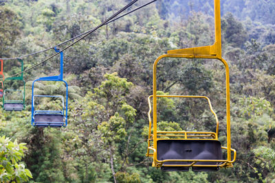 Overhead cable car hanging from tree