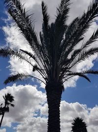 Low angle view of palm tree against sky