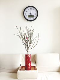 Home decorations with pot plant and wall clock