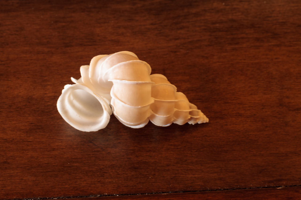 HIGH ANGLE VIEW OF ICE CREAM ON TABLE AGAINST WALL