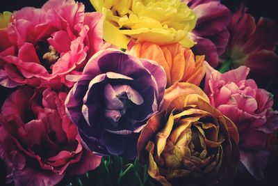 Close-up of rose bouquet