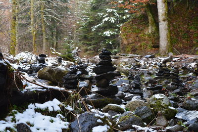 Stream flowing through rocks in forest