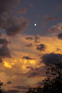 Low angle view of trees against sky during sunset