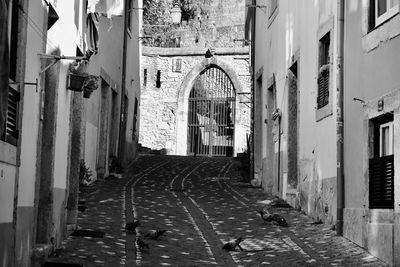 Rear view of woman walking on street