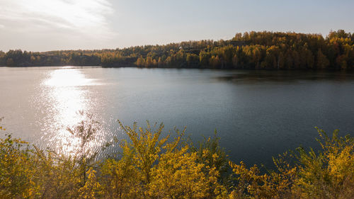 Scenic view of lake in forest against sky