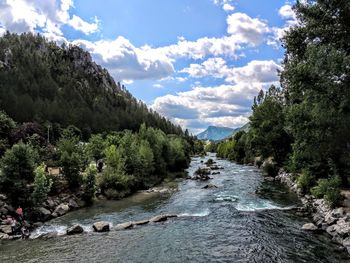 River amidst trees against sky