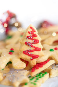 Close-up of cookies on christmas tree