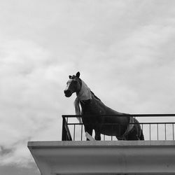 Low angle view of horse against sky