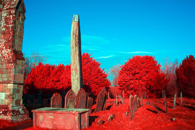 Red flowering trees on field against blue sky