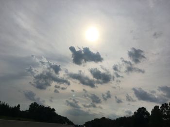 Low angle view of trees against sky