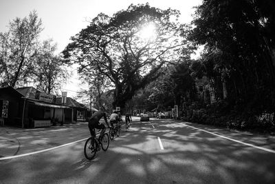 Road passing through trees