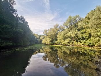 Reflection of trees in lake against sky