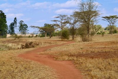 Dirt road amidst field against sky