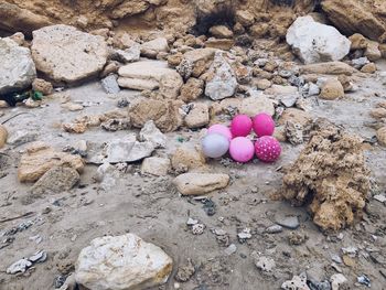 High angle view of stones on beach