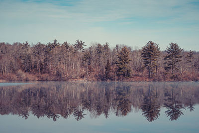 Reflection of trees in lake against sky