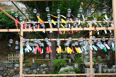 Multi colored decorations hanging on tree