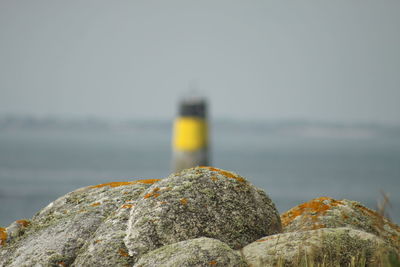 Close-up of rock by sea against sky