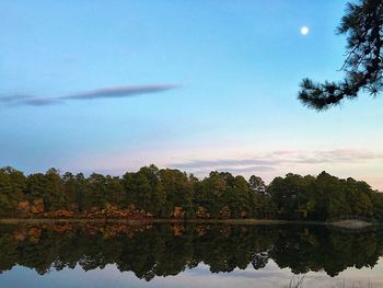 Reflection of trees in calm lake