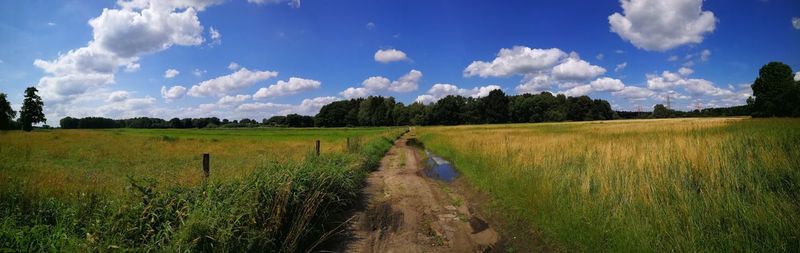 Scenic view of agricultural field against sky