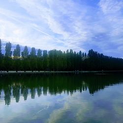 Reflection of trees in lake against sky