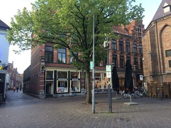 View of trees in city