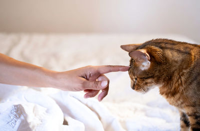 Woman caressing her cat on the bed.