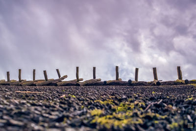 Surface level of wooden fence against sky