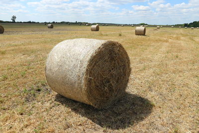 Hay bales on farm during sunny day