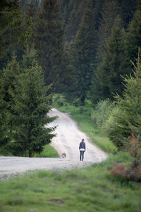 Man walking on road amidst trees