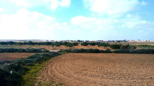 Scenic view of field against sky