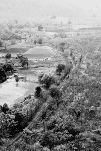 High angle view of trees on field against sky