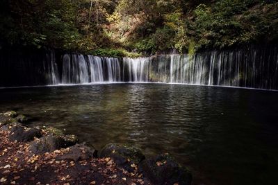 Stream flowing through forest