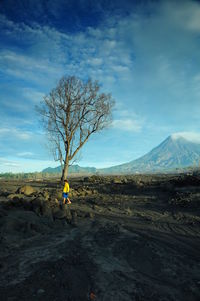 Person on land against sky