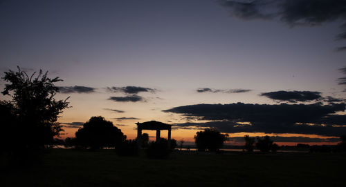 Silhouette of trees at sunset