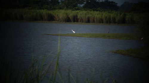 Scenic view of lake