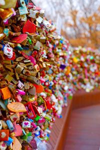 Love padlocks hanging in city