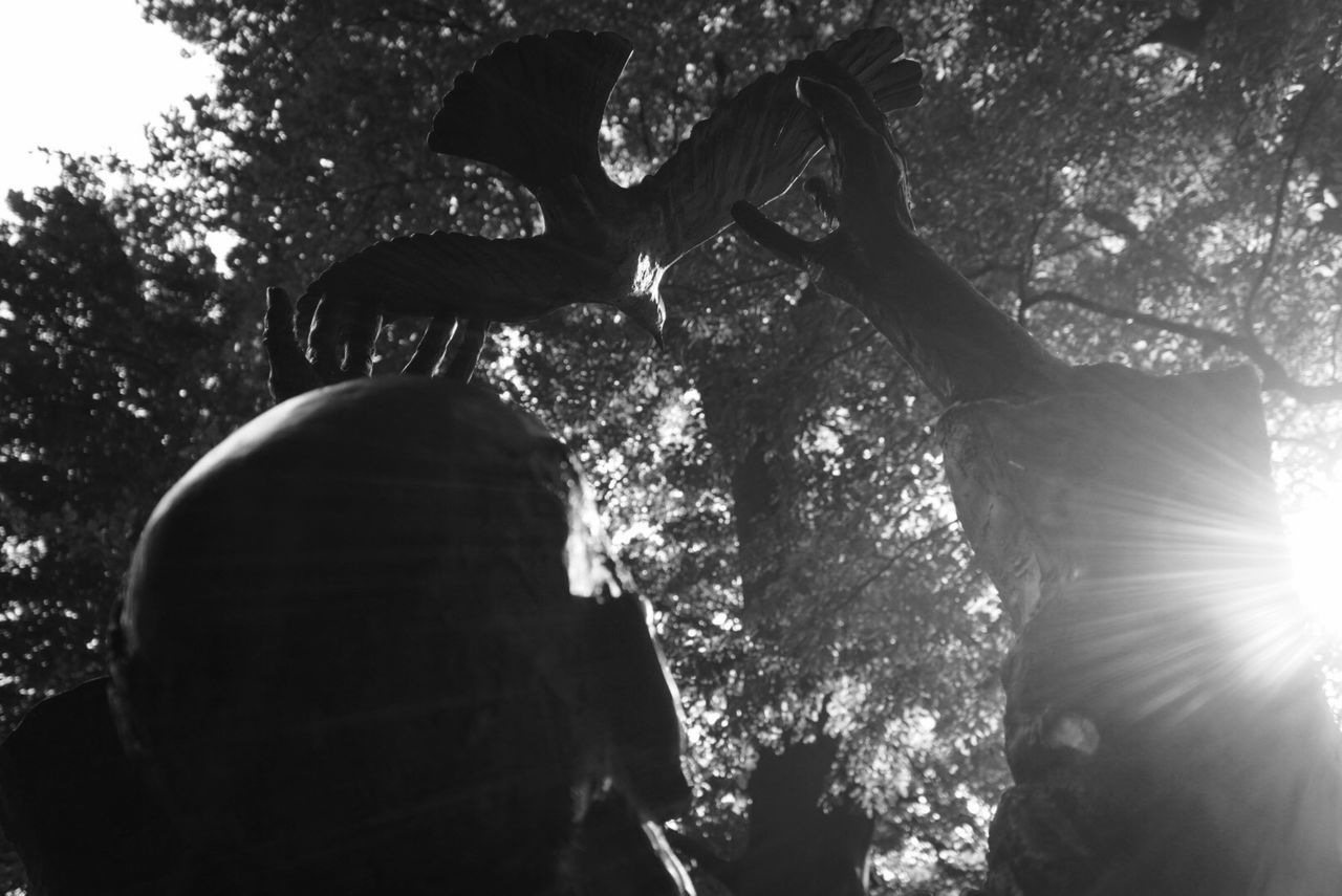 tree, low angle view, statue, sculpture, human representation, art and craft, art, creativity, religion, sunlight, spirituality, outdoors, day, sky, growth, lens flare, no people, sunbeam