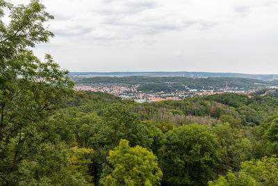 High angle view of trees and plants against sky