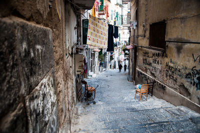 Dog in alley amidst houses