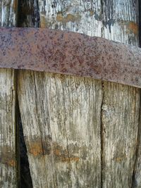 Close-up of wooden plank